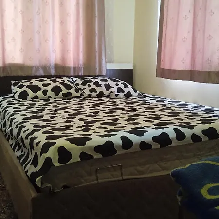 Guest house Be My Guest - Homestay Sleeping