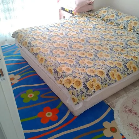Be My Guest - Homestay Sleeping Guest house